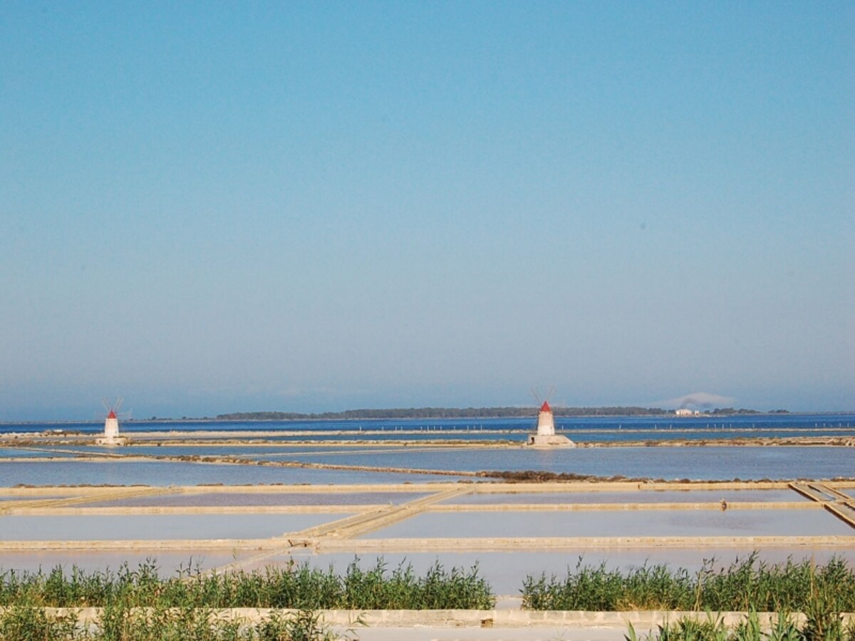 saline1