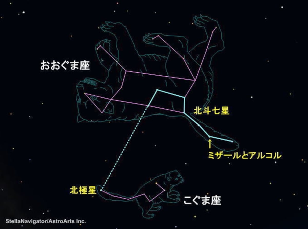 おおぐま座とこぐま座