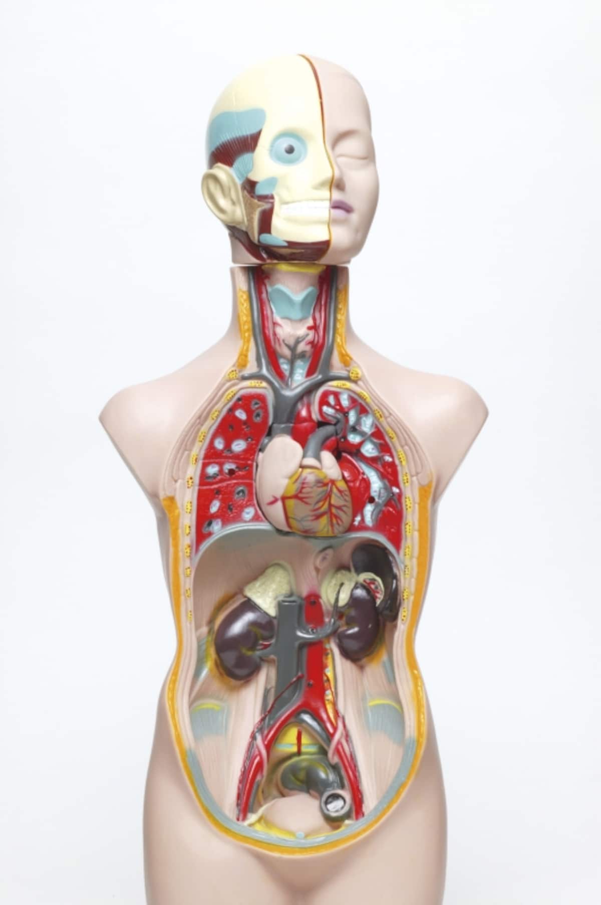 その体臭は「内臓の悲鳴」かもしれない