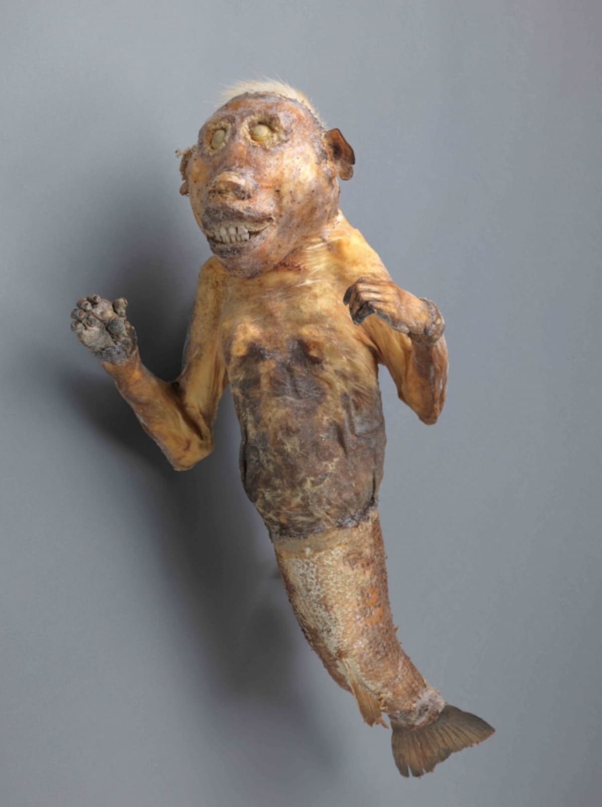 人魚のミイラ（国立歴史民俗博物館蔵）