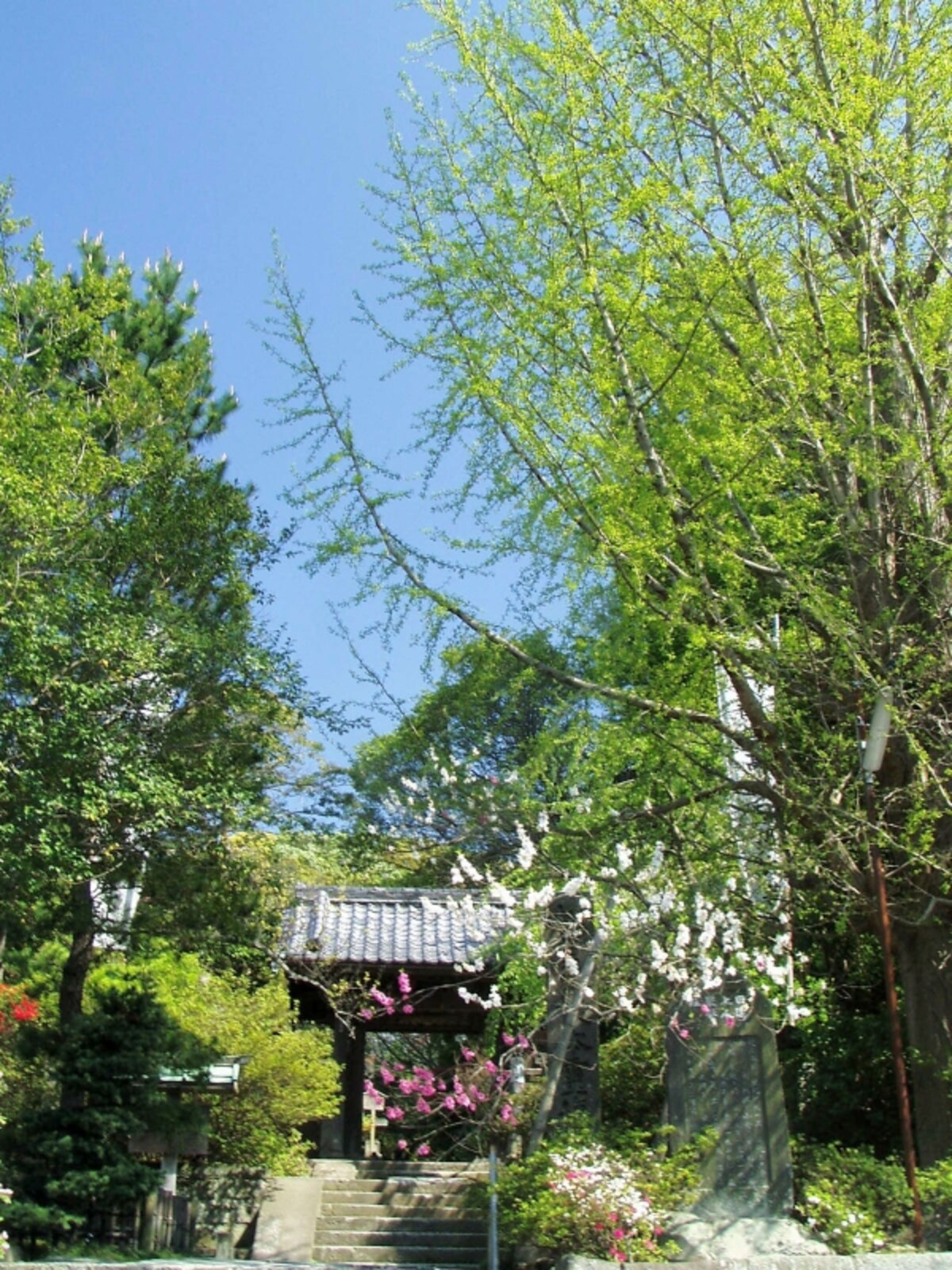 安国論寺入口
