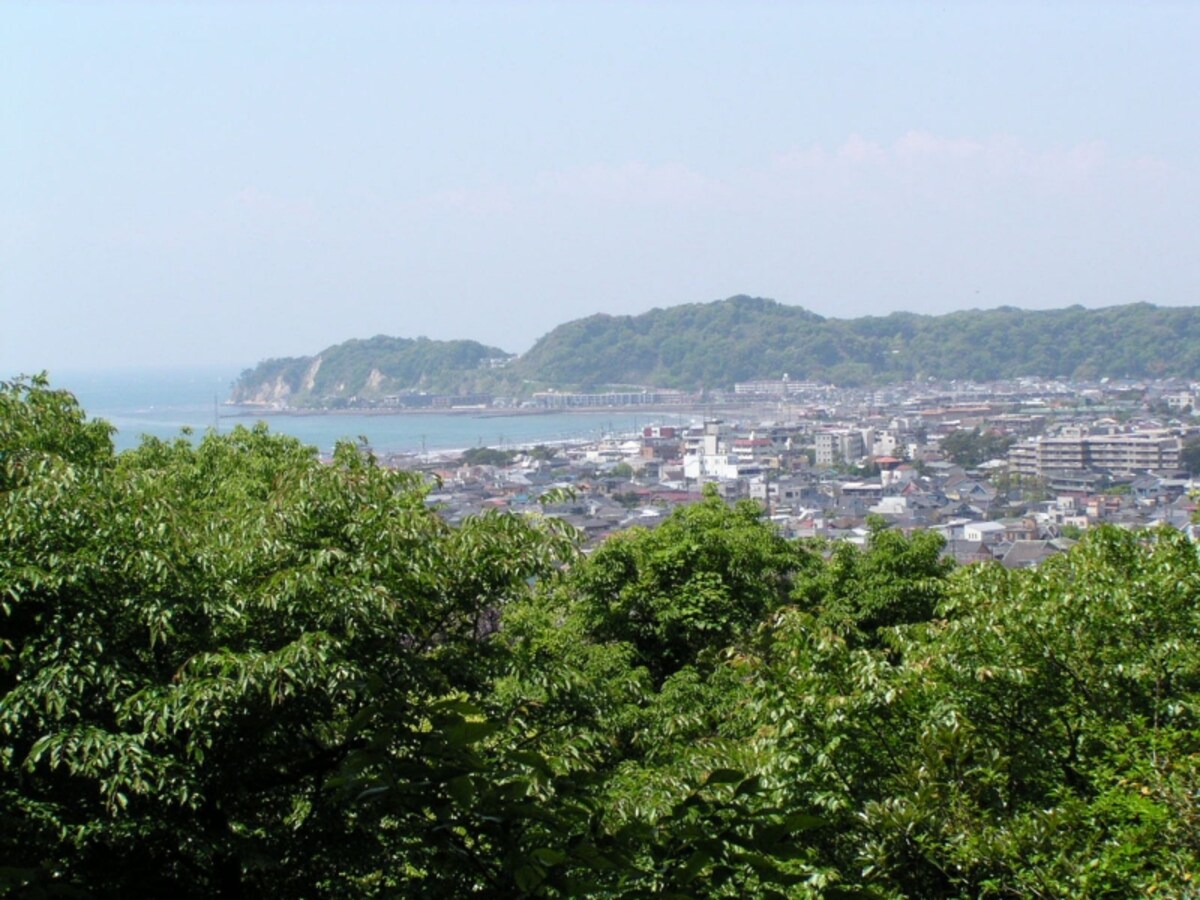 安国論寺の山の上から望む海