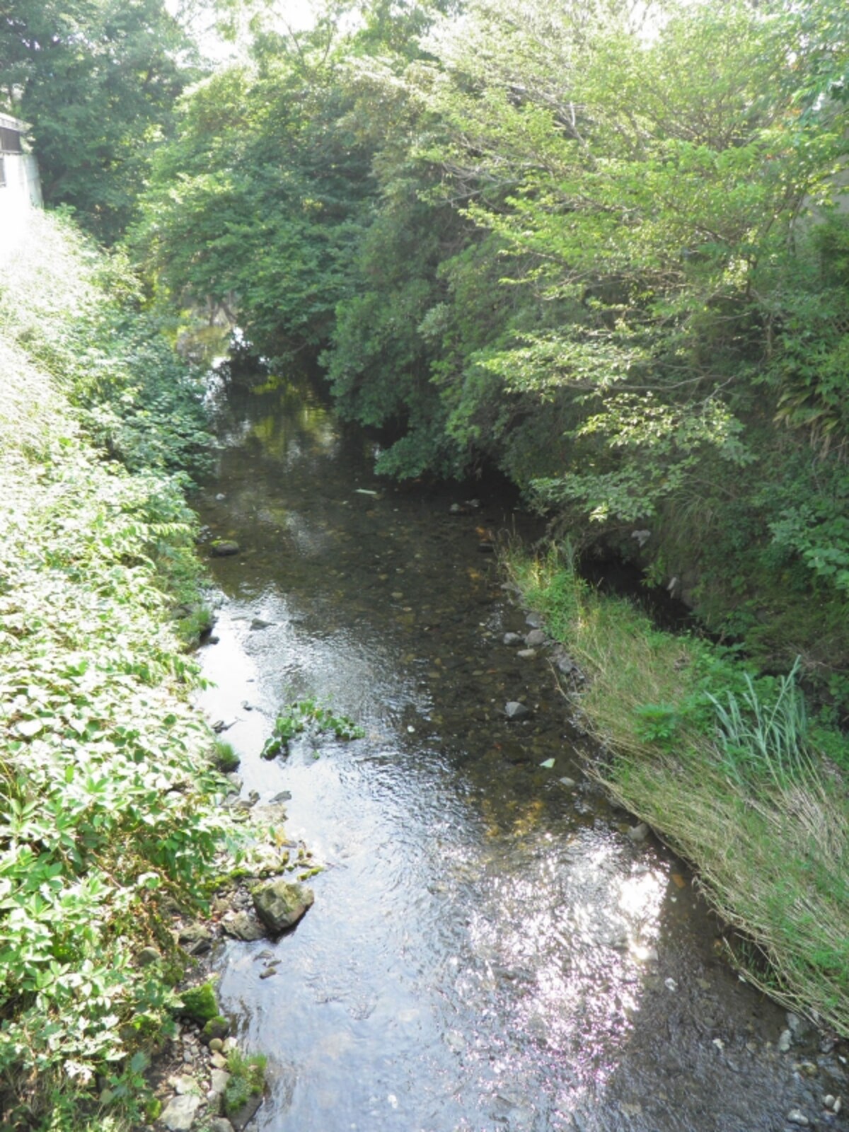 滑川