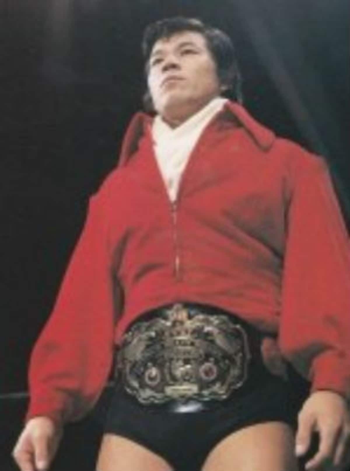 プロレス,藤波辰爾