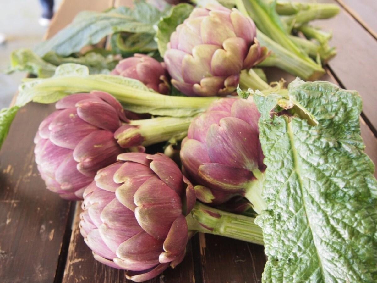 carciofi3