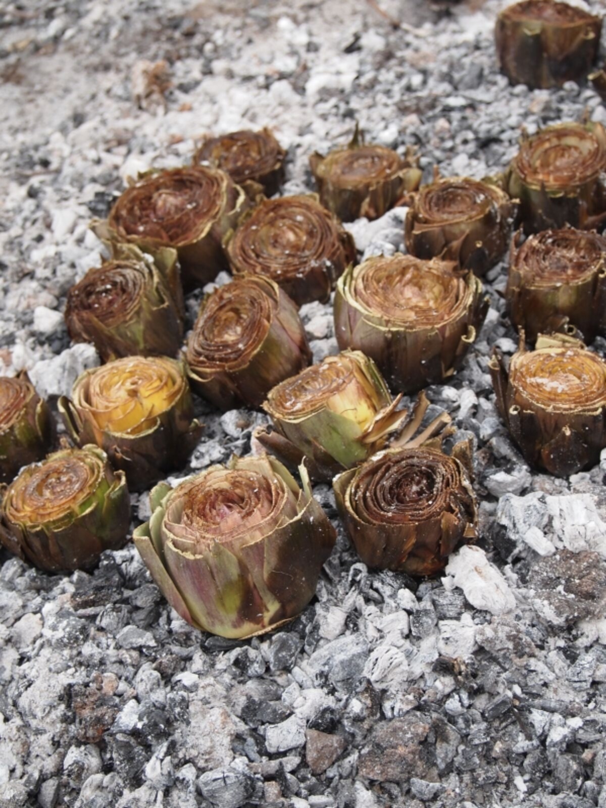 carciofi4