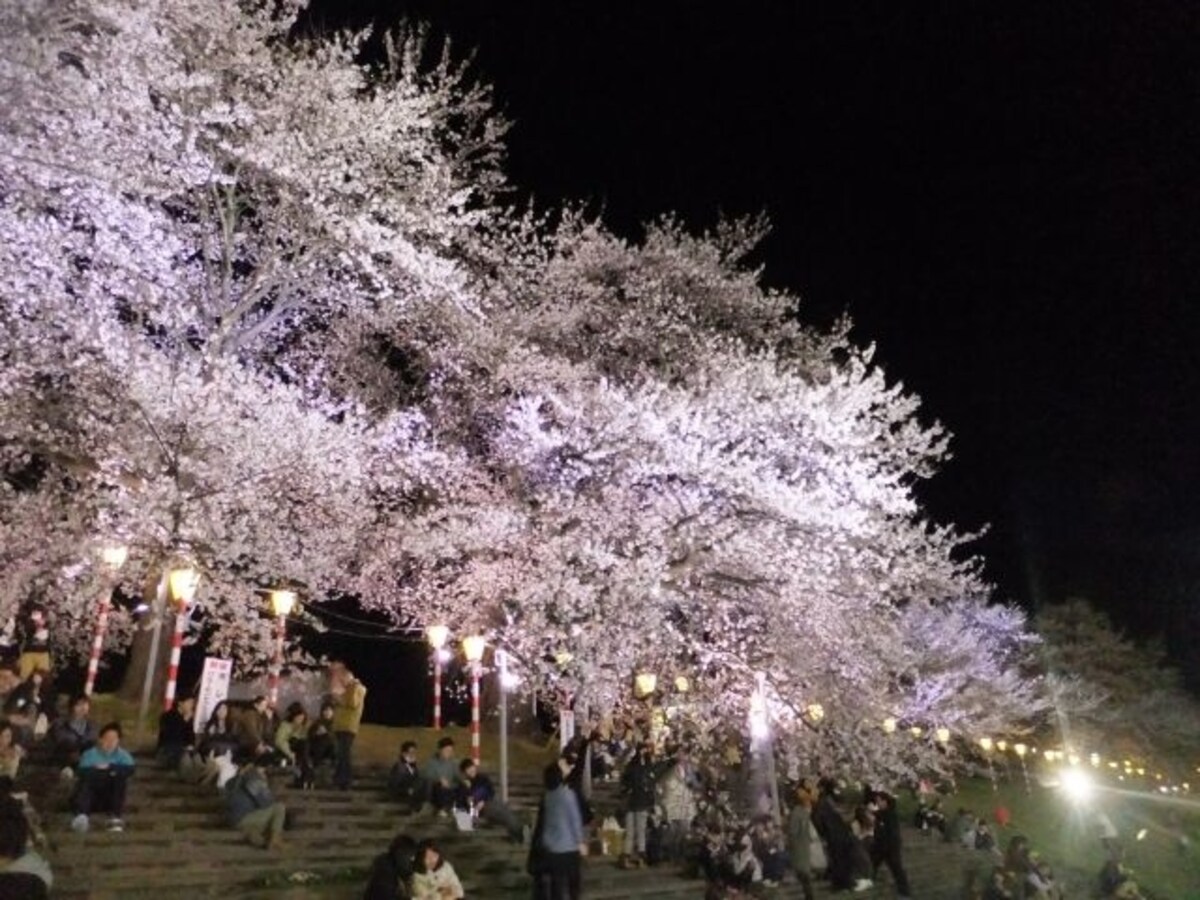 白石川堤一目千本桜（10）／大河原でのライトアップ