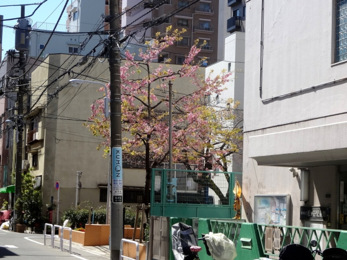 ちょっと寄ってみよう