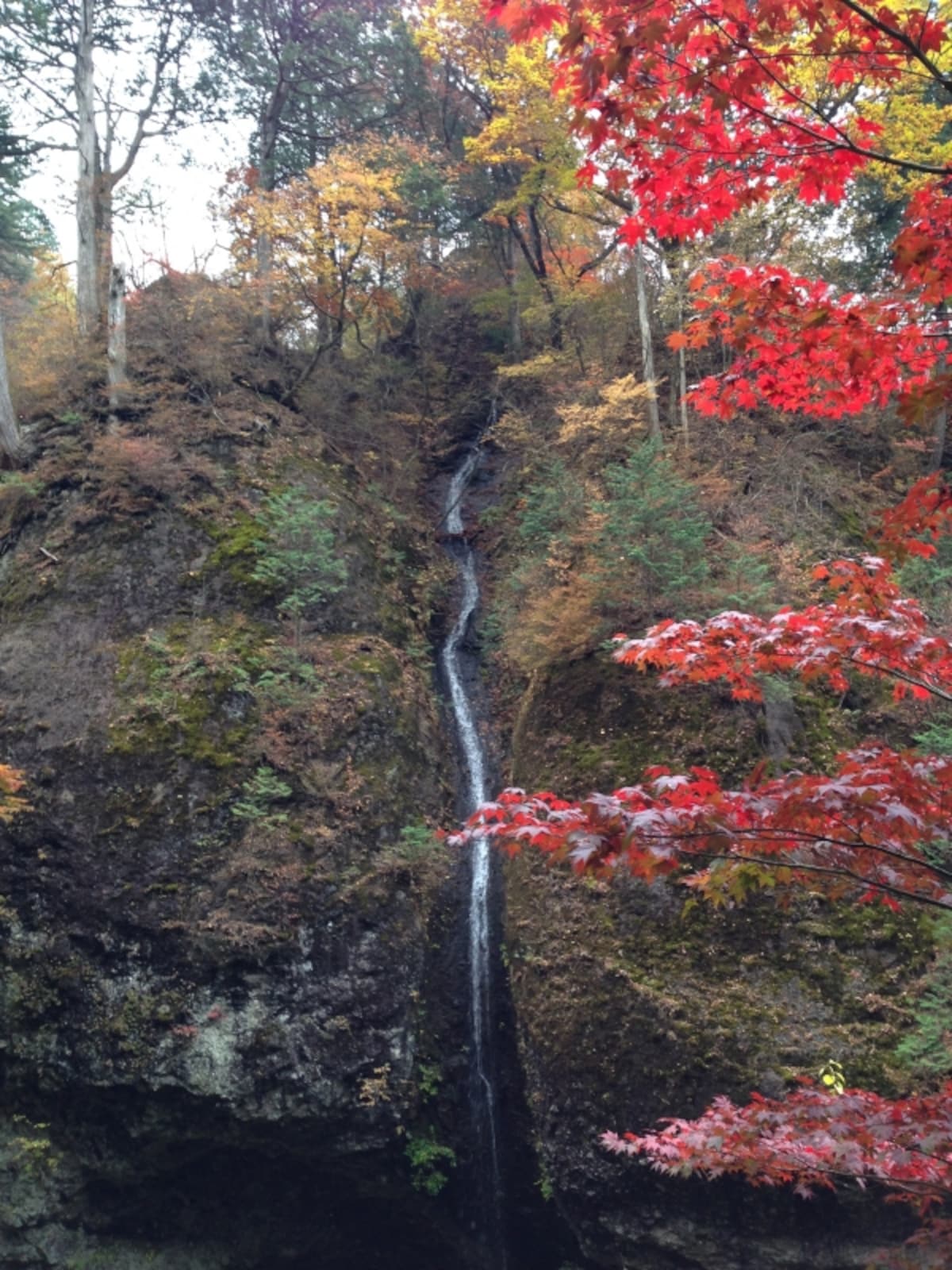 瓶子の滝