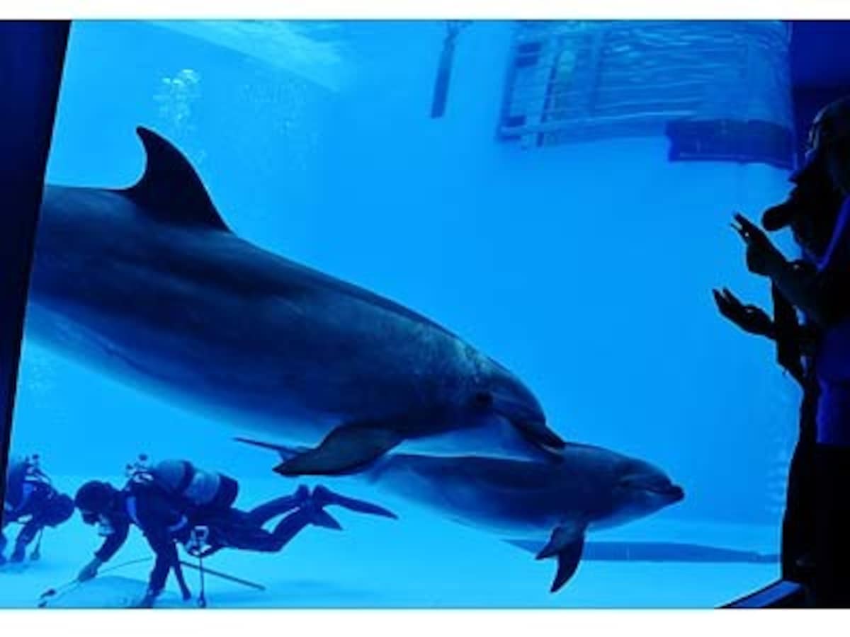 水族館