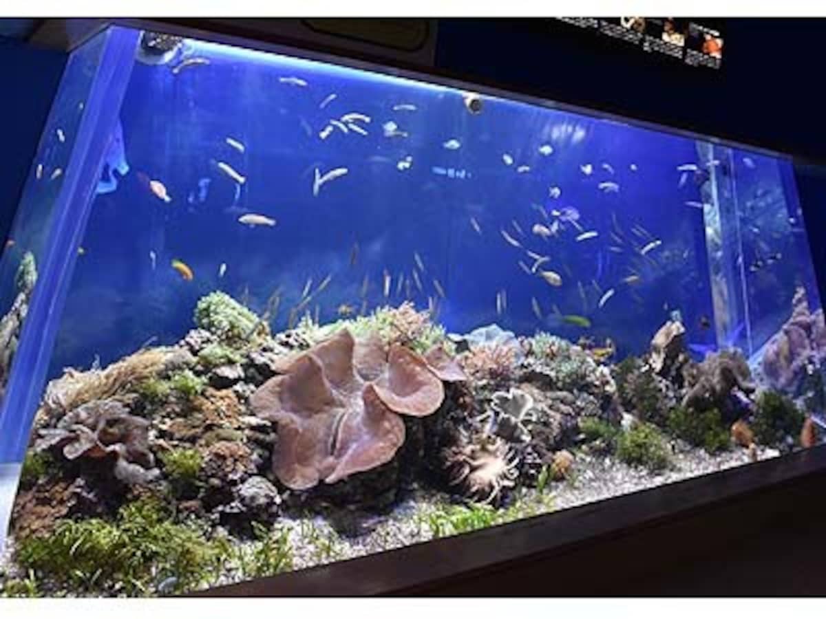 水族館