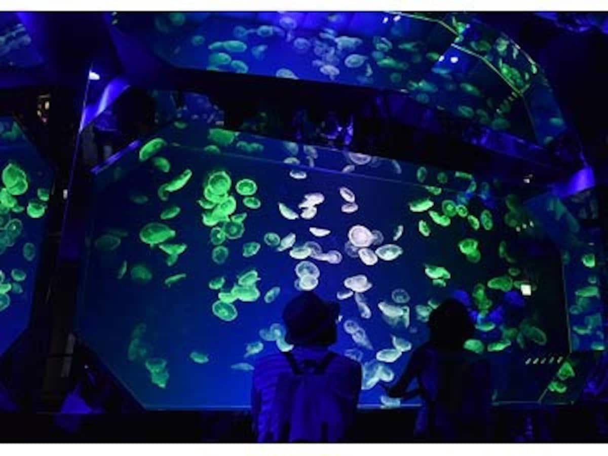 水族館