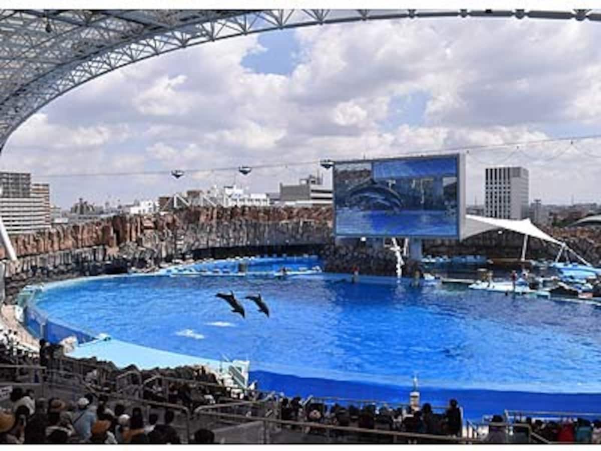水族館