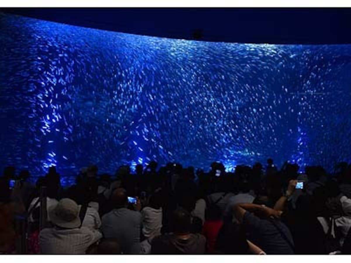 水族館