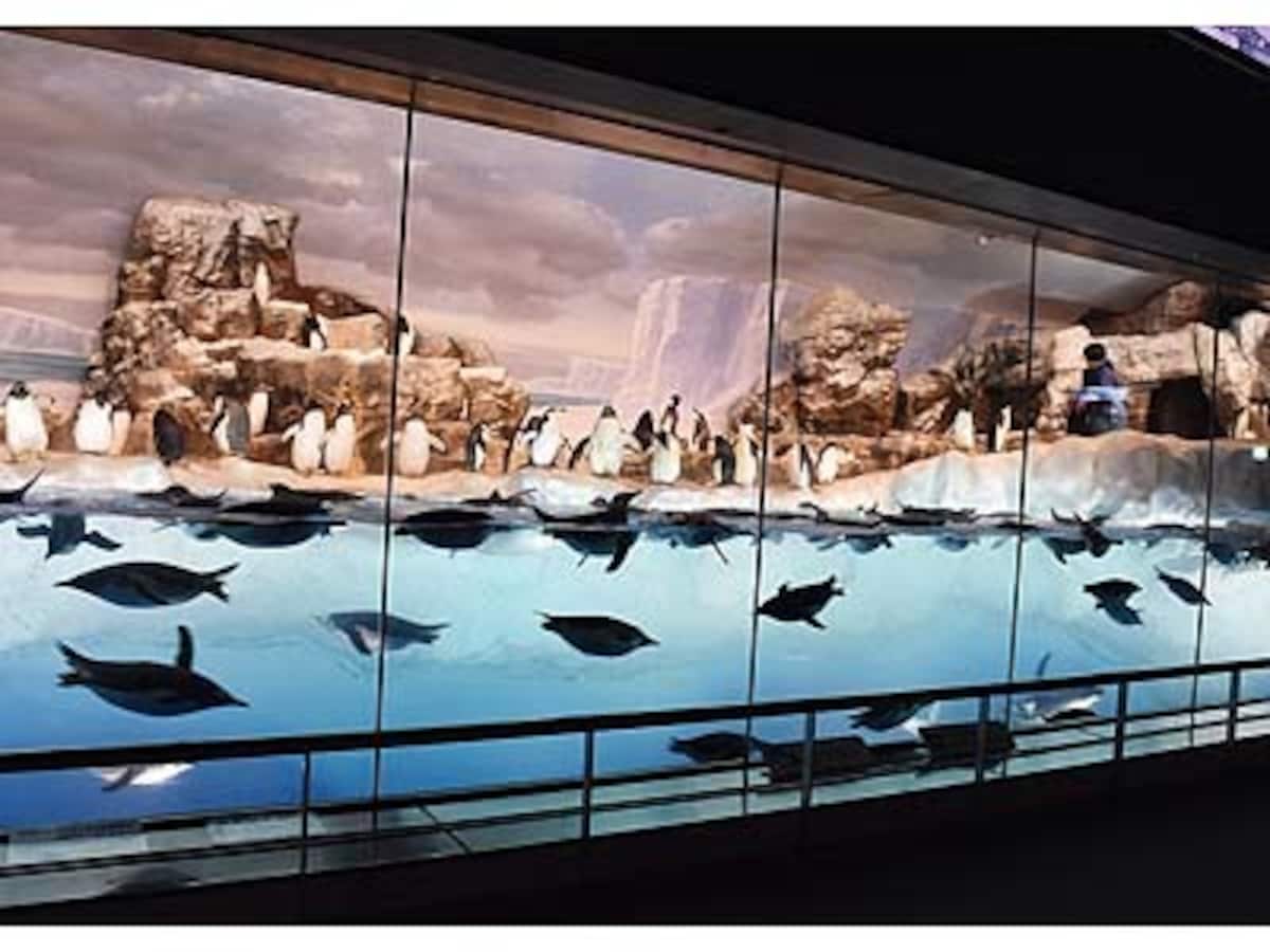 水族館