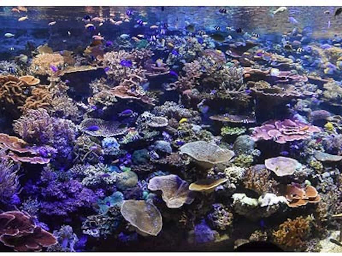 水族館