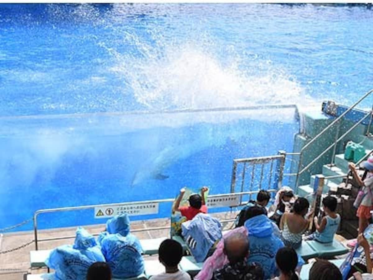水族館