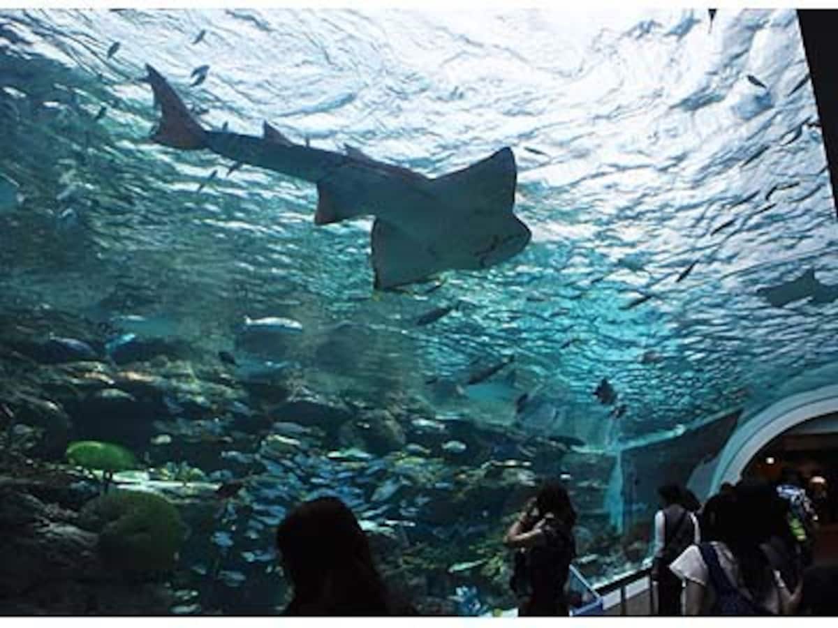 水族館