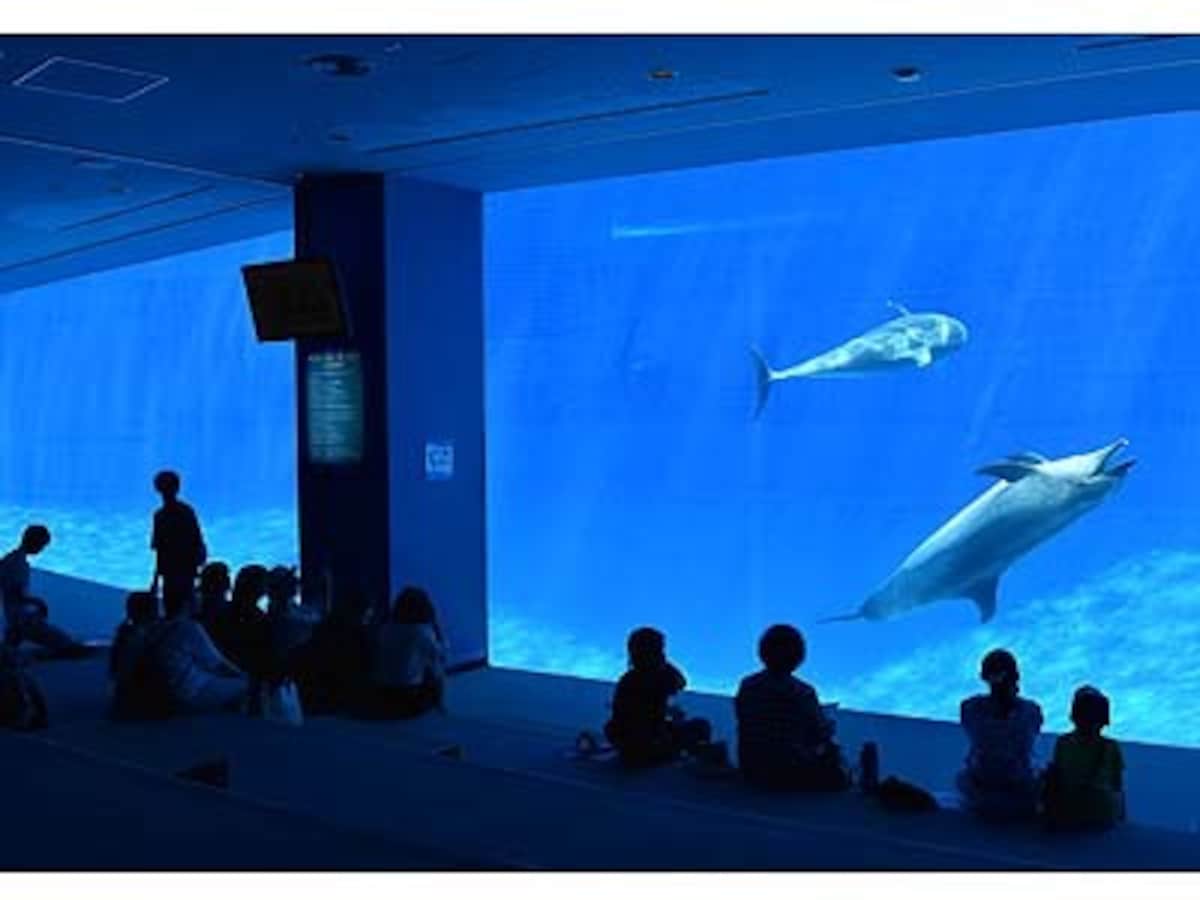 水族館