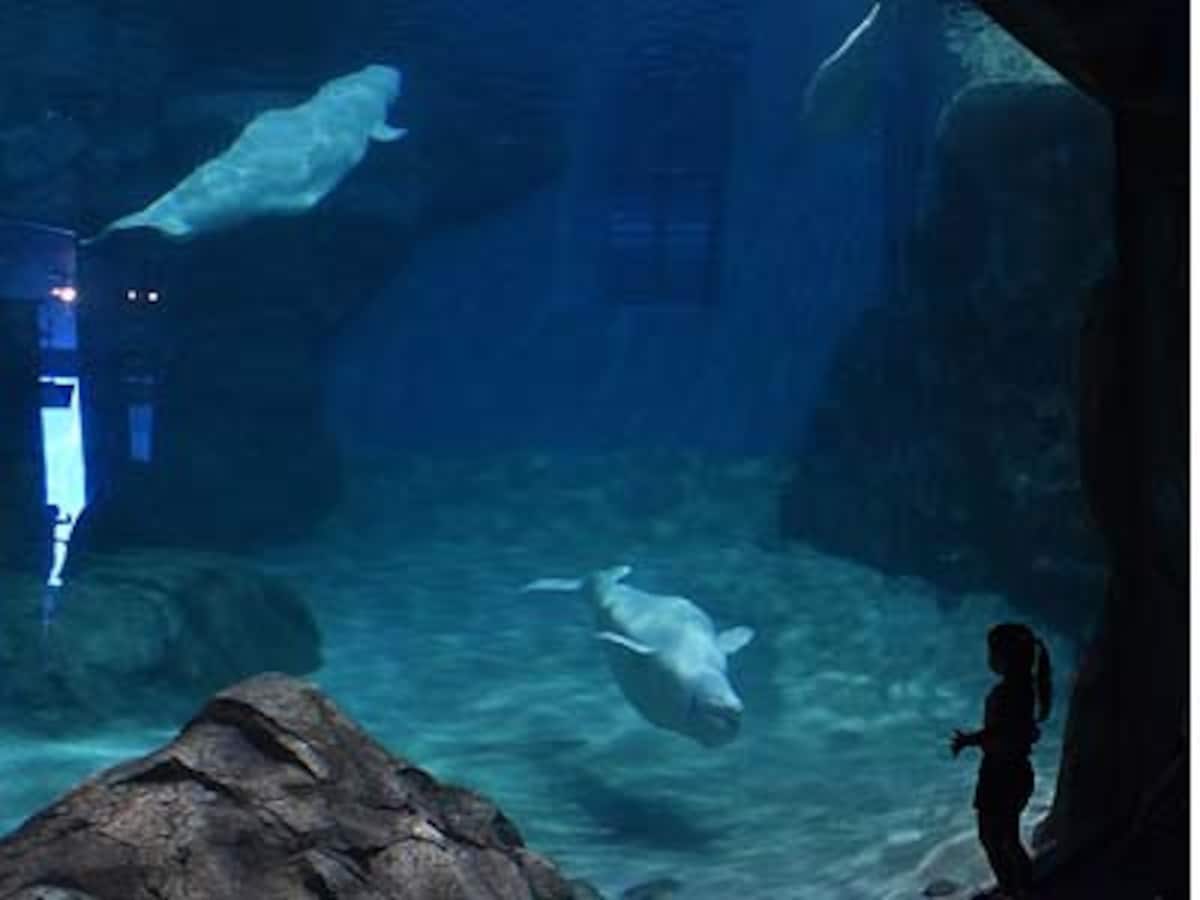 水族館