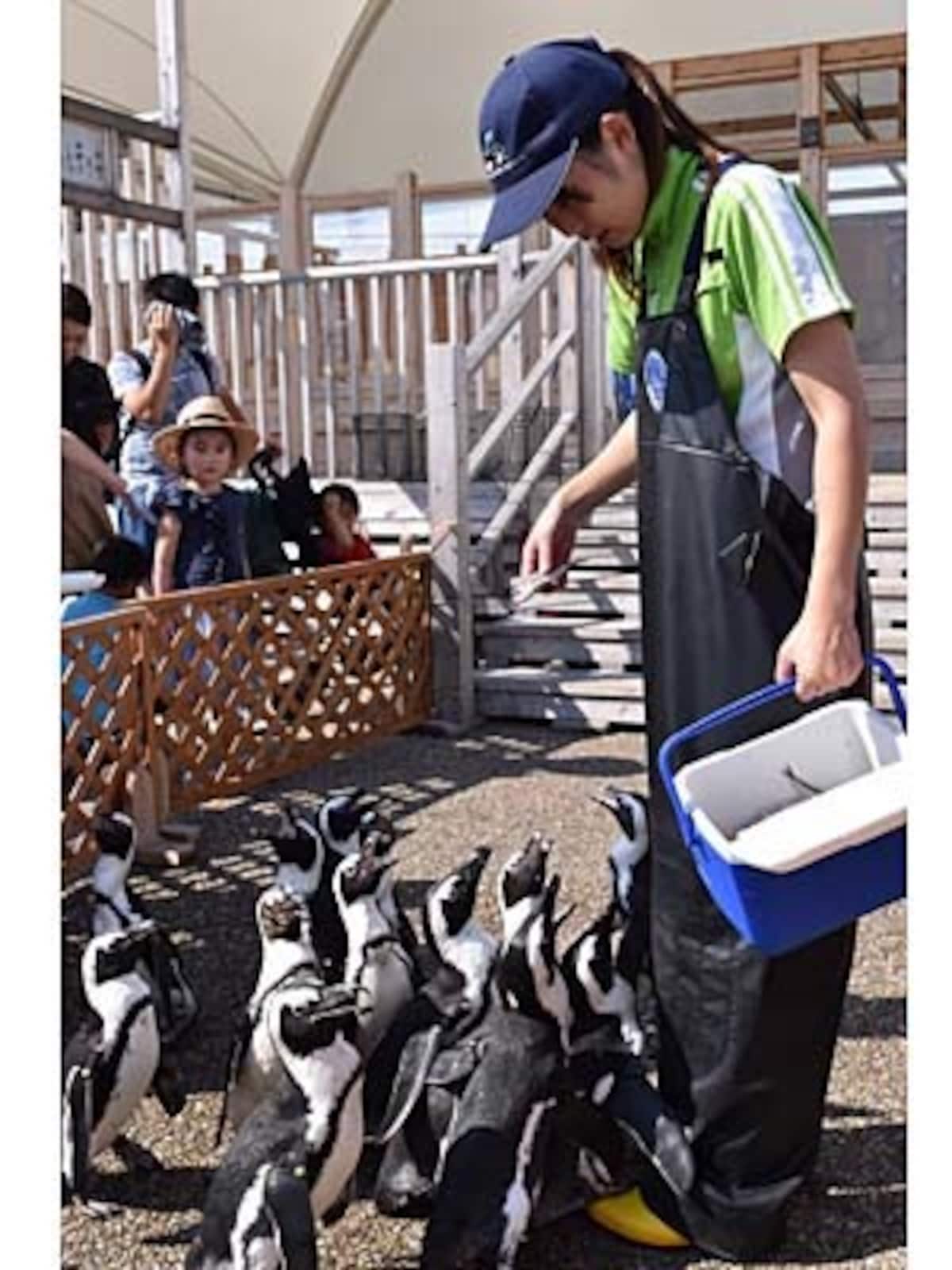 水族館