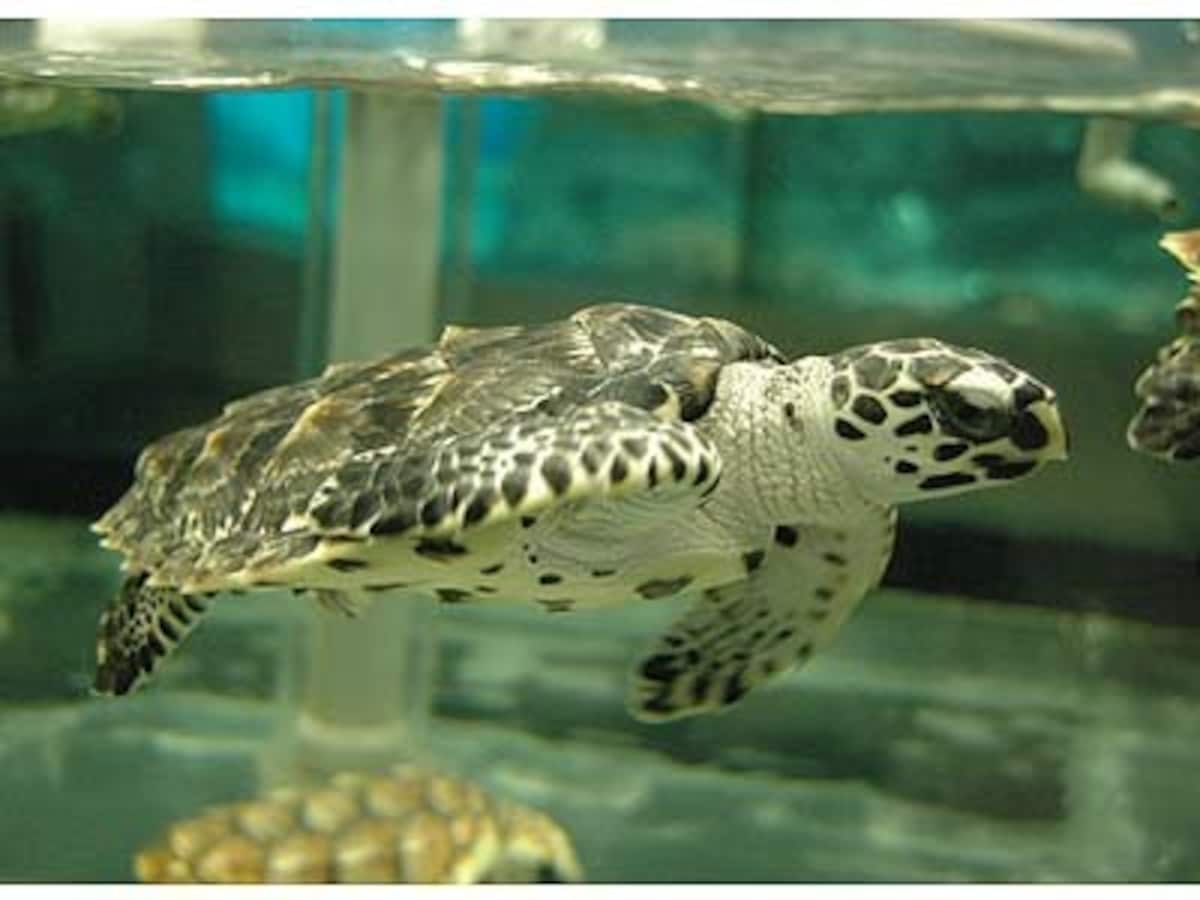 水族館