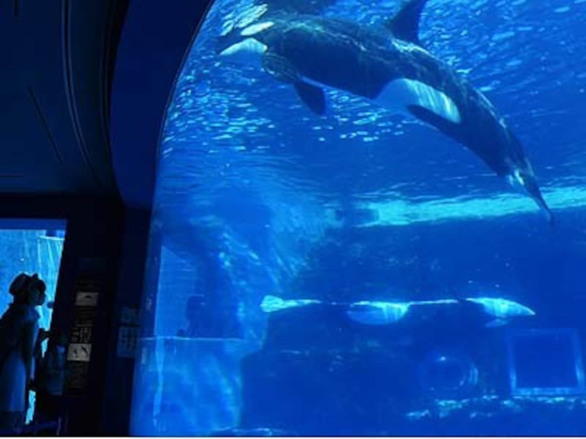水族館