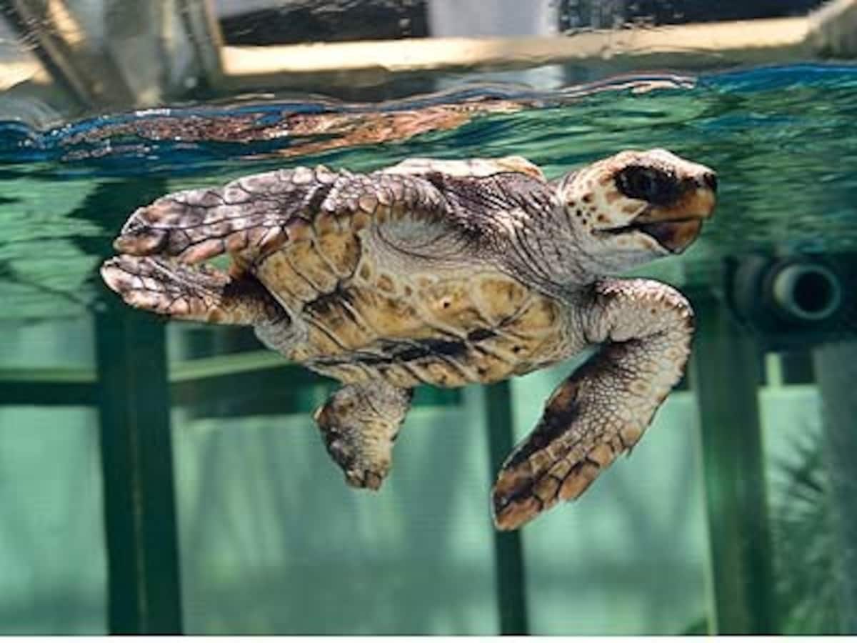 水族館