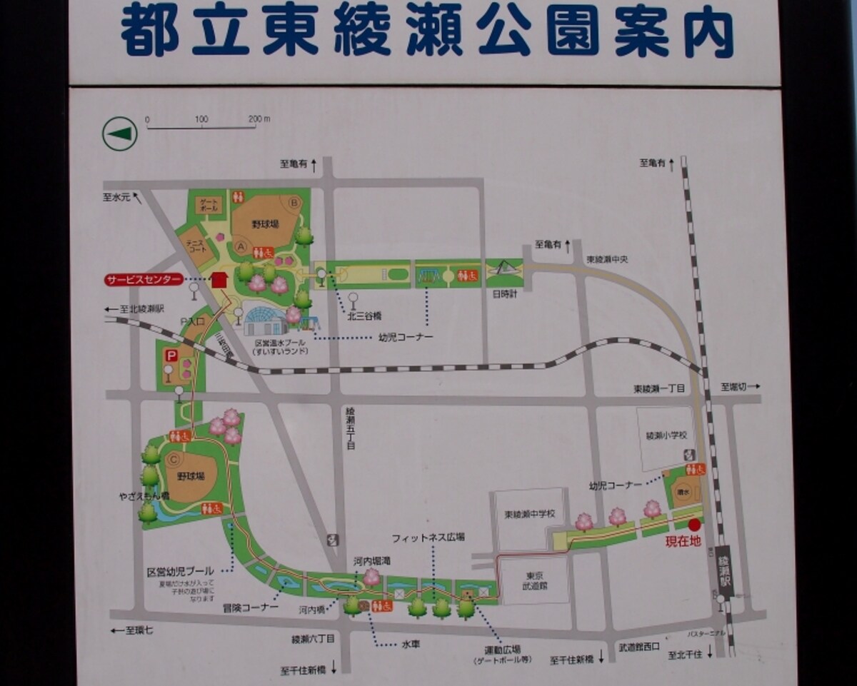 それにしても広い公園だ