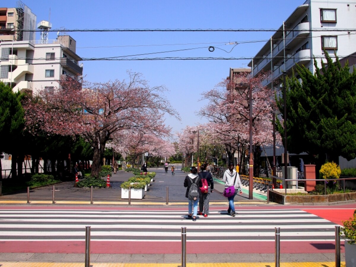 公園というか、道のようなかんじ