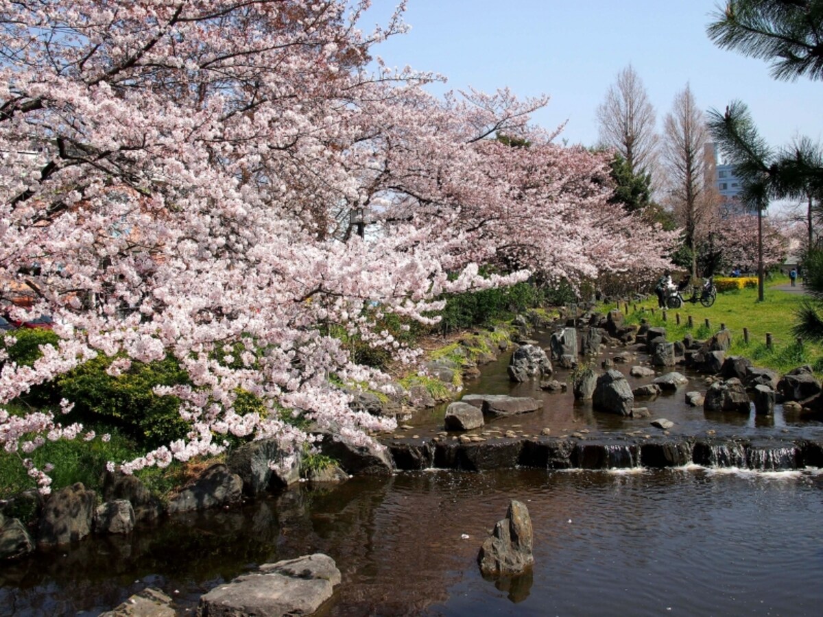 かつての田園風景を思い出させてくれる