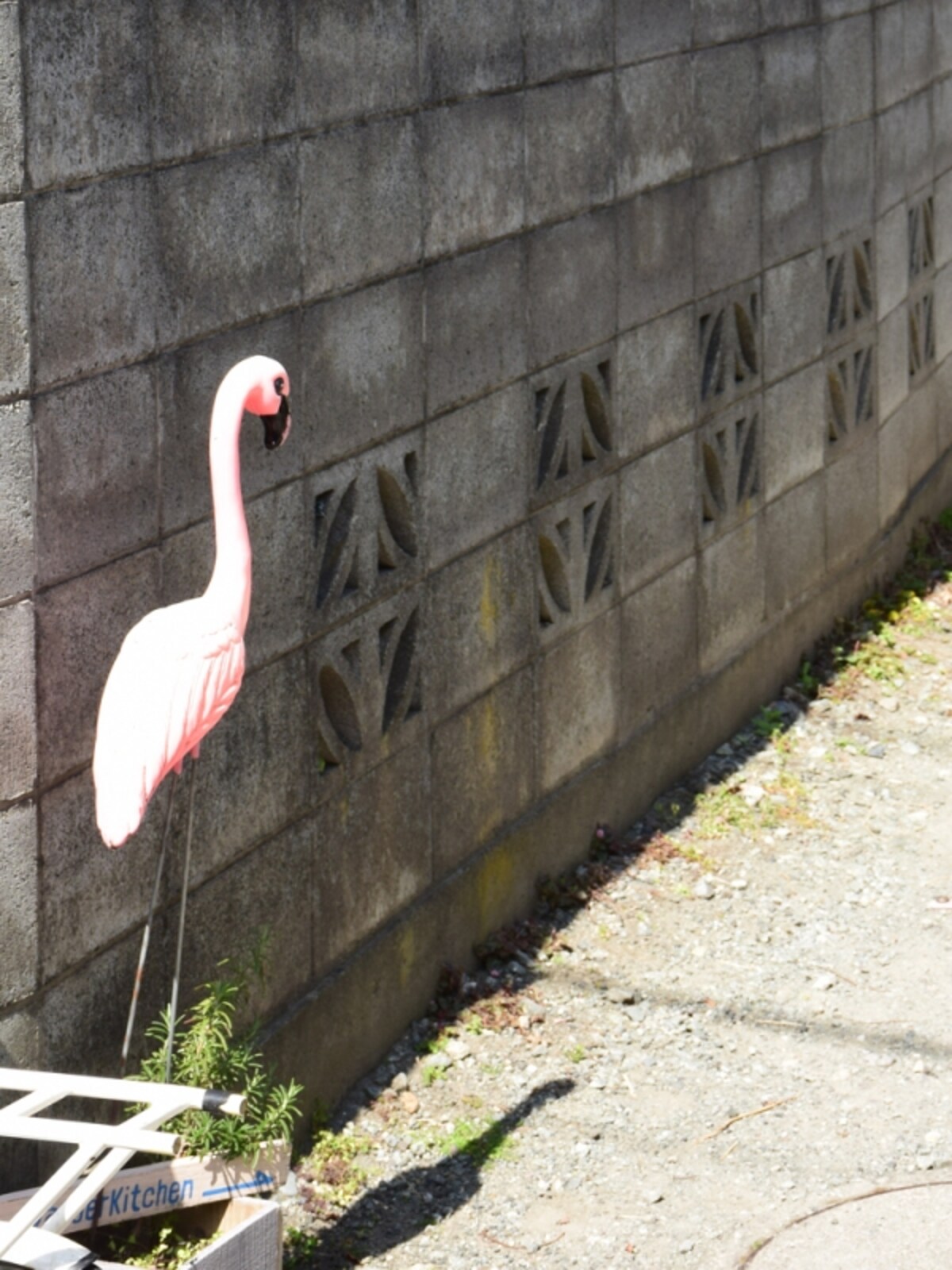 フラミンゴの看板