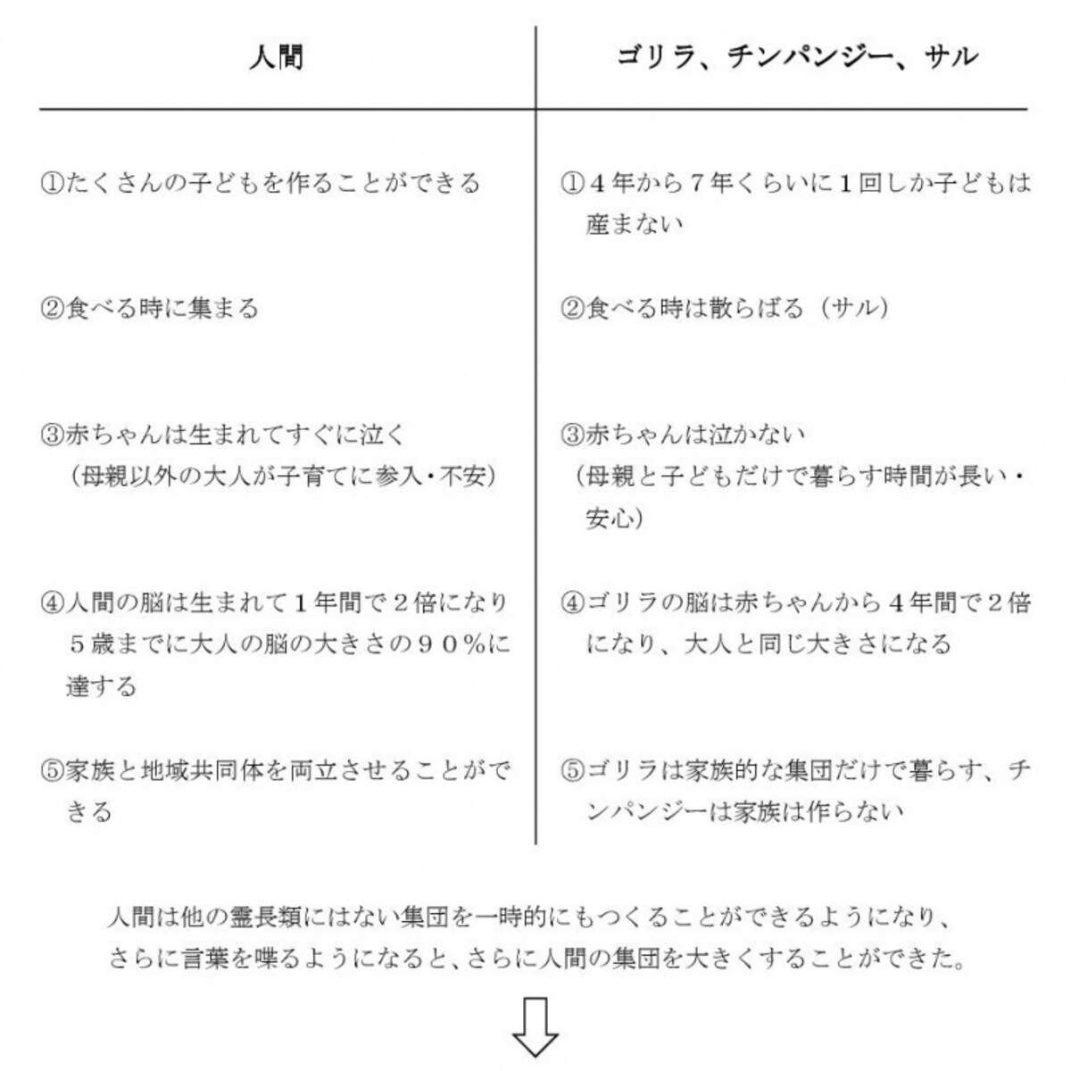 人間とゴリラの違い