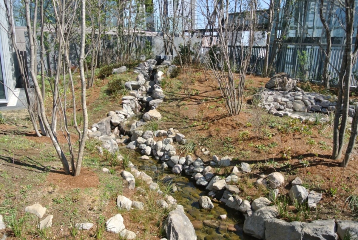 屋上緑化「豊島の森」