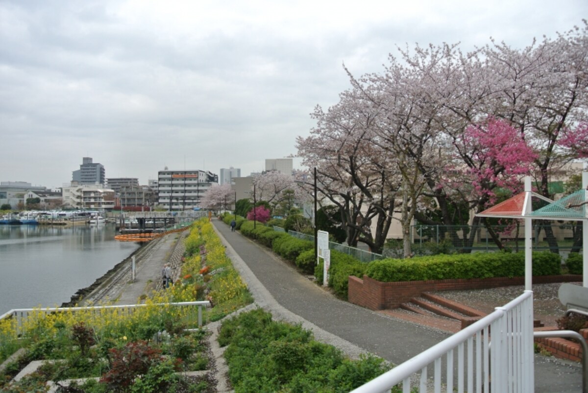 現地近くの運河