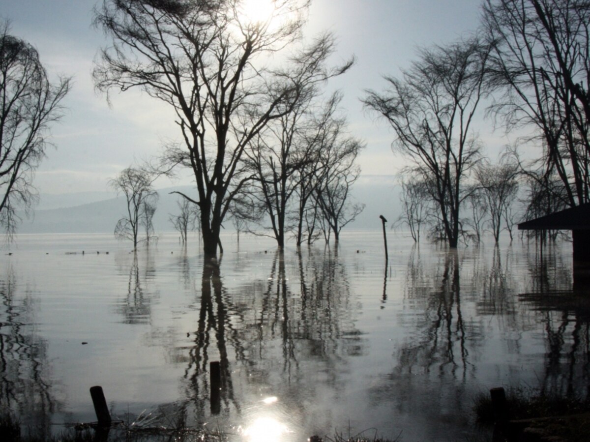 lakeshore