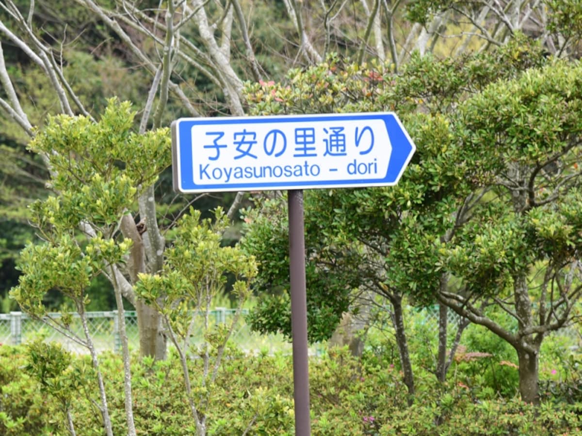 子安の里通り