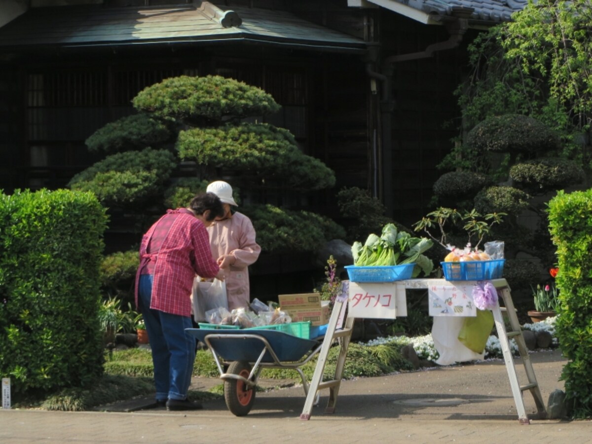 軒先で野菜販売