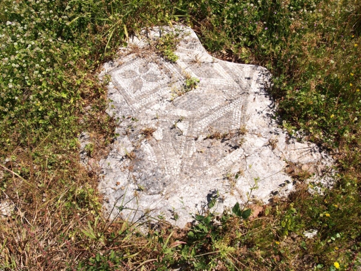 palermo13