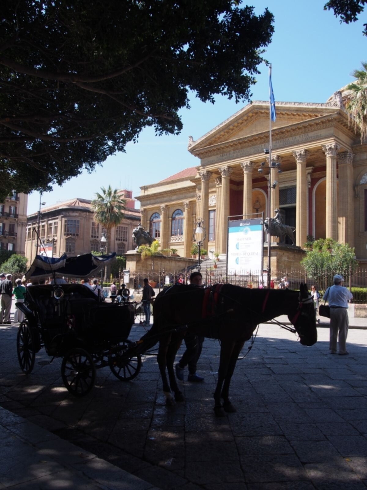 palermo9