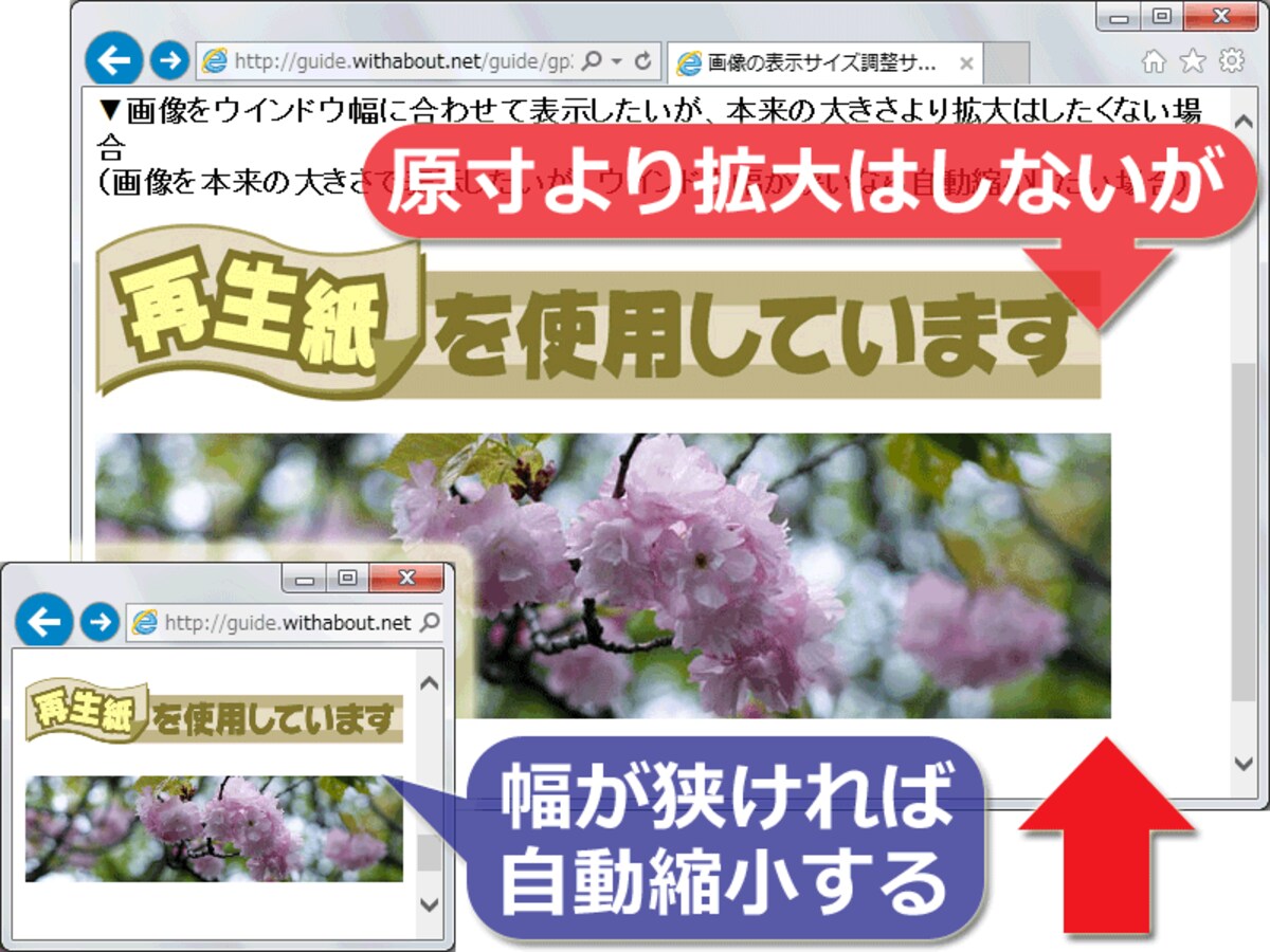 基本は原寸で表示するものの、描画領域が狭ければ自動縮小する