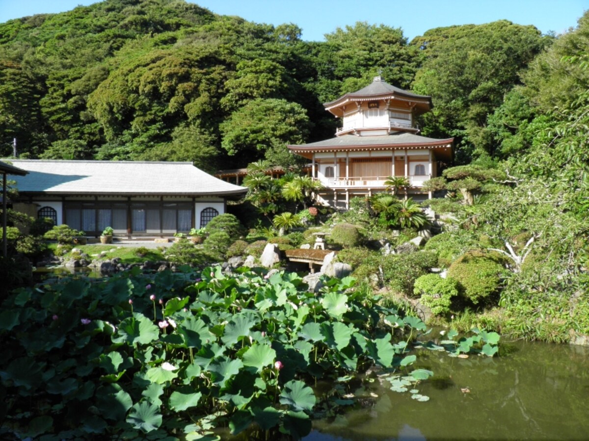 光明寺の池