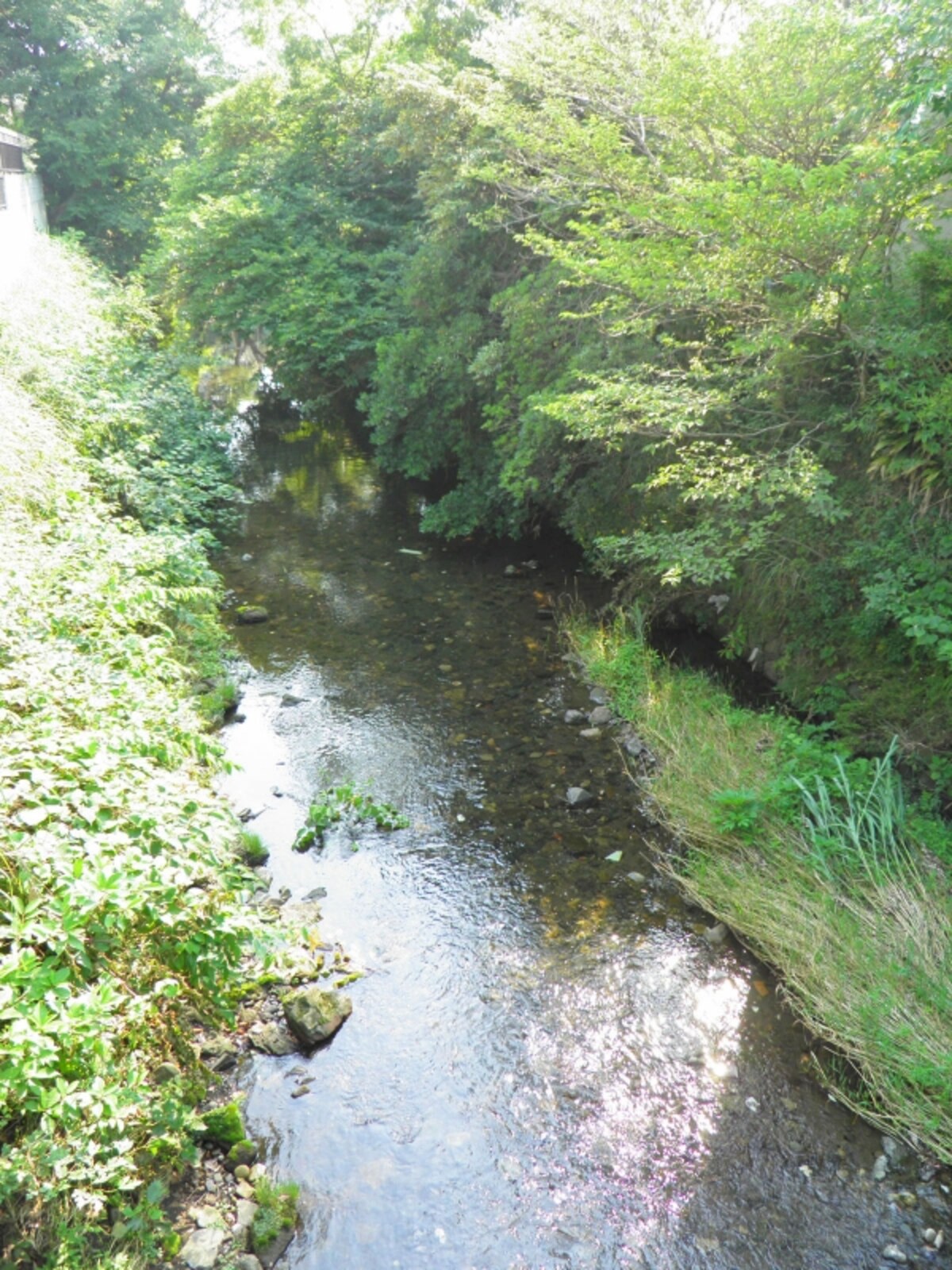 滑川（なめりがわ）