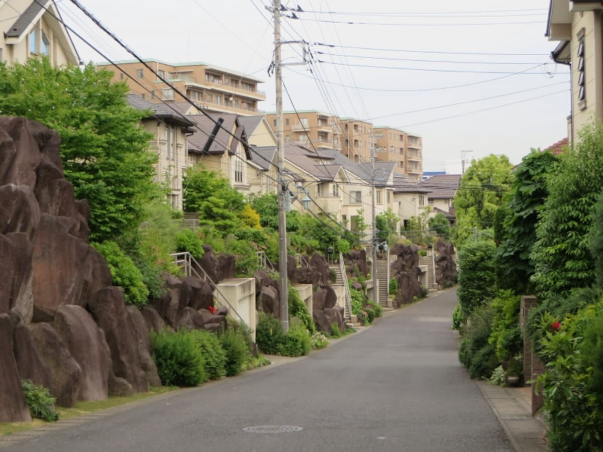 ロックガーデン
