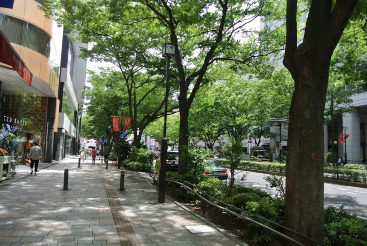 表参道の遊歩道
