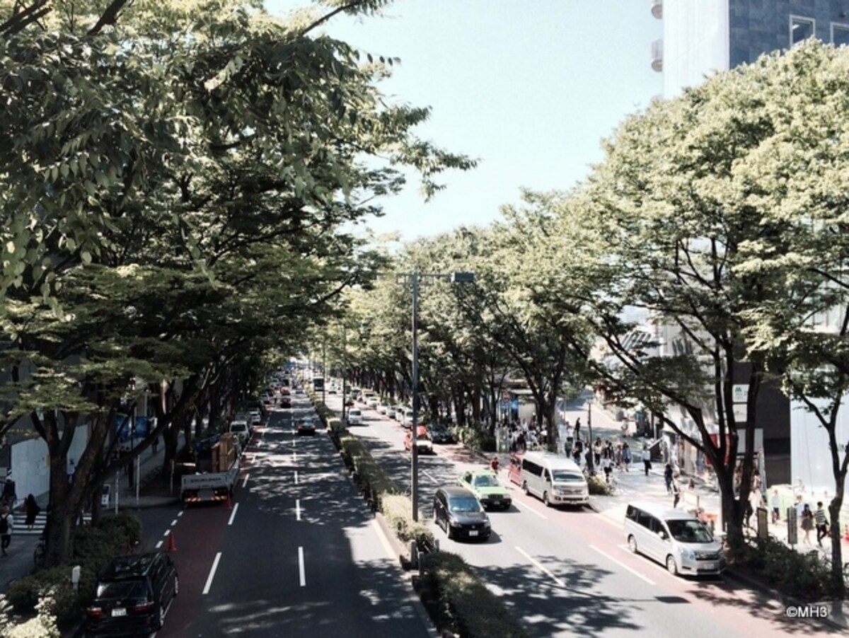 表参道（2015年6月撮影）