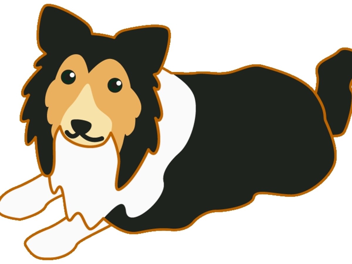オラクル社員犬キャンディ