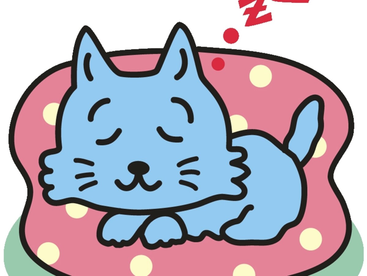 世界一有名な猫　「ソックス」