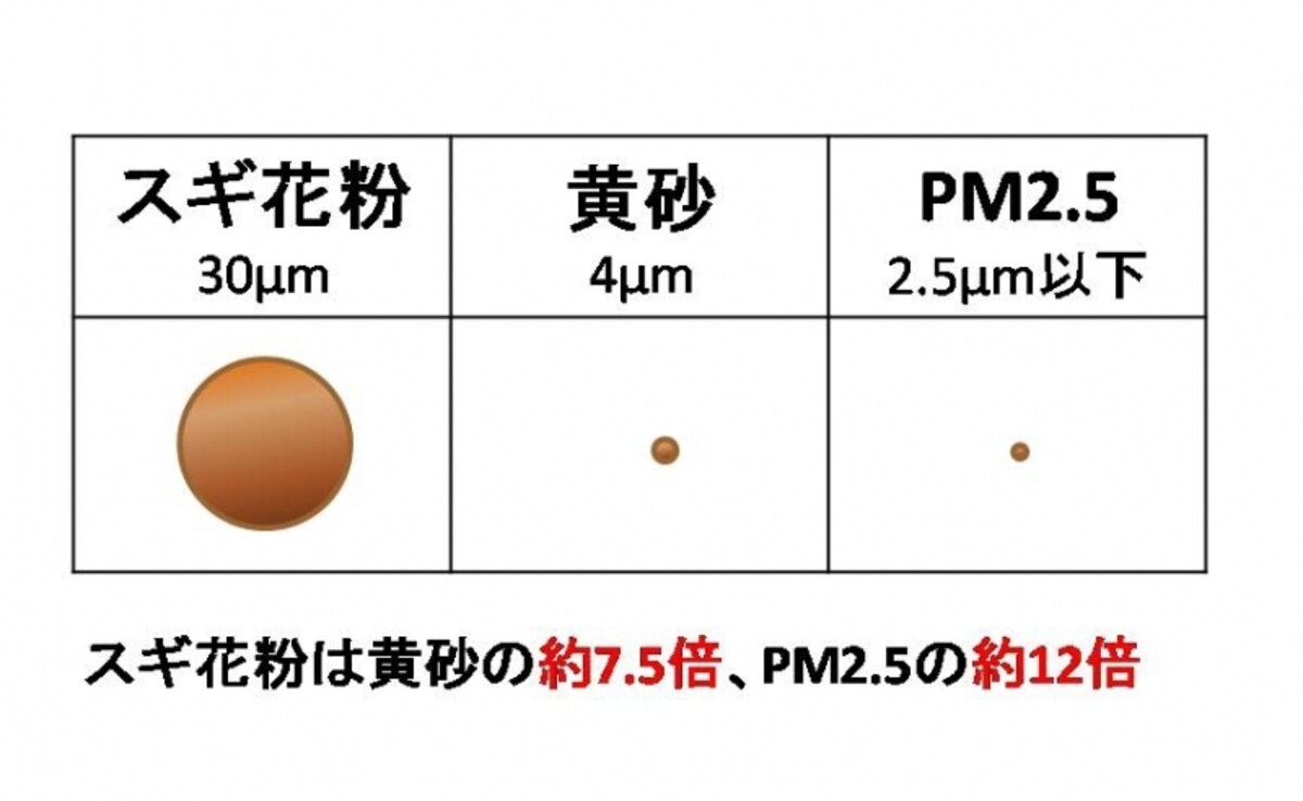 【図1】花粉、黄砂、PM2.5の大きさ比べ