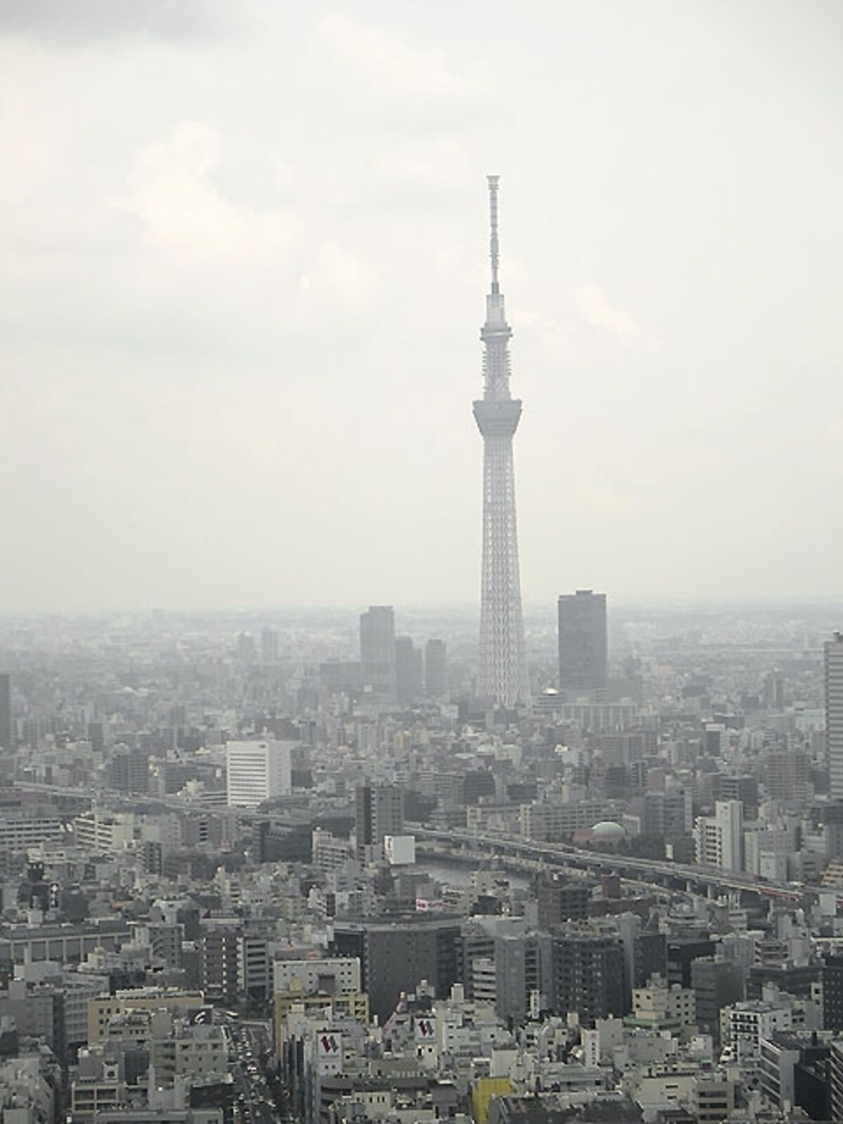 窓からの眺望